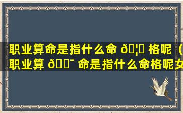 职业算命是指什么命 🦁 格呢（职业算 🐯 命是指什么命格呢女生）